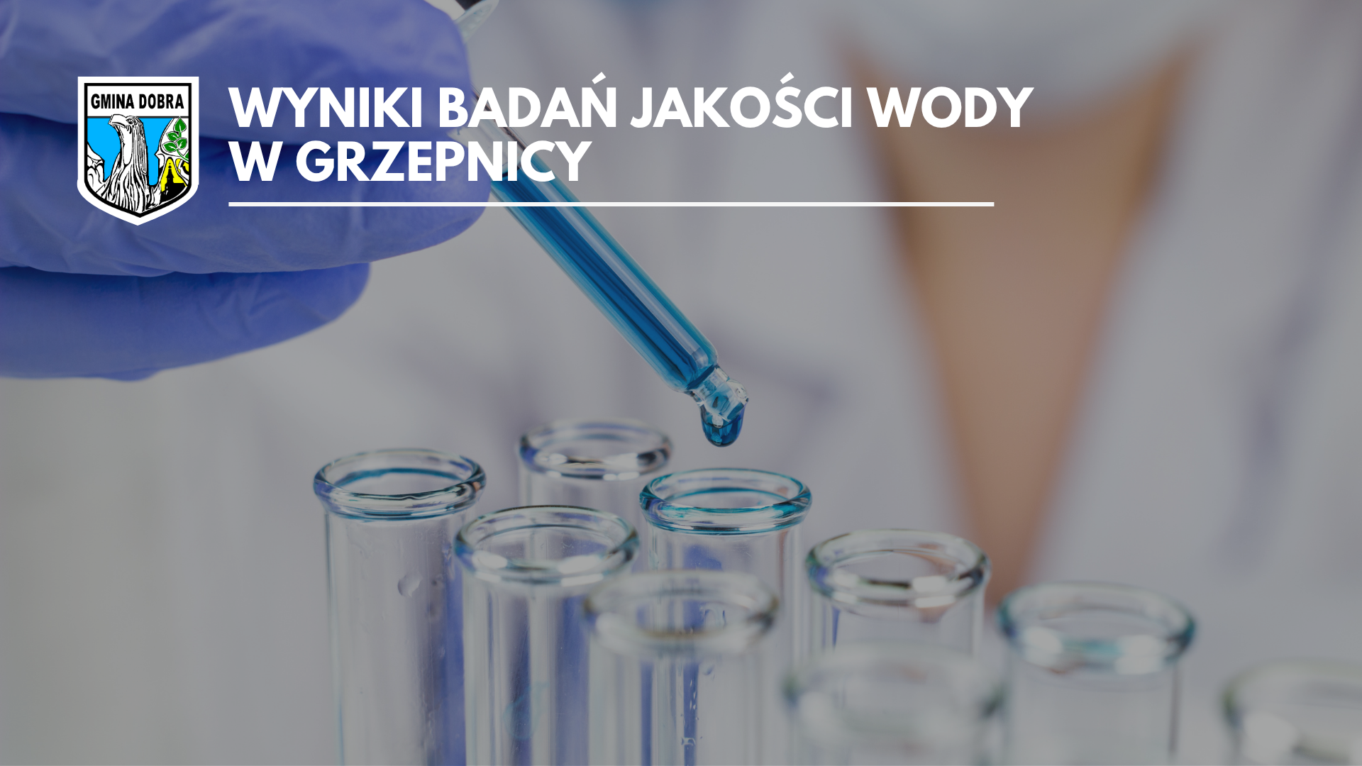 Wyniki badań jakości wody w Grzepnicy
