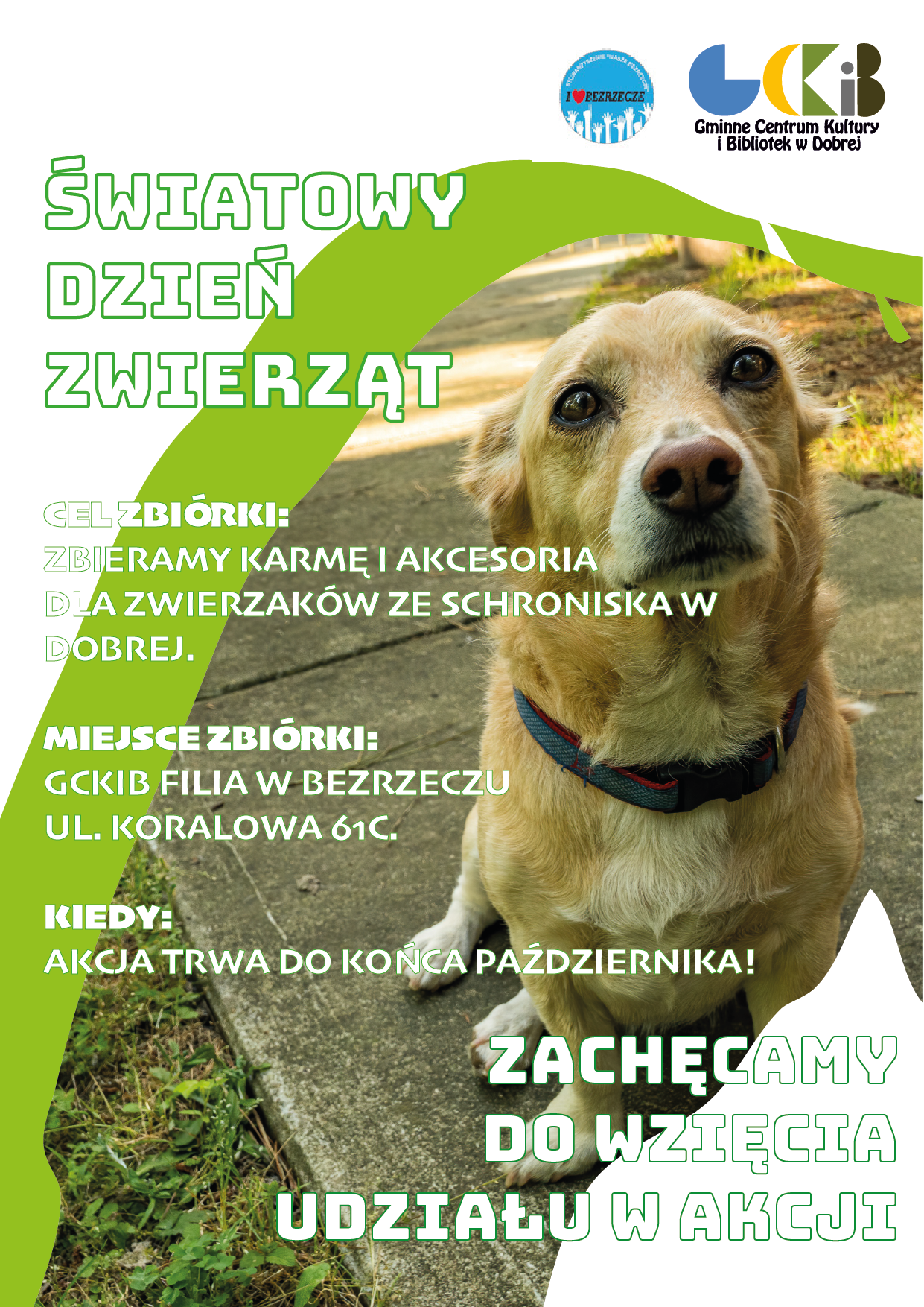 Światowy Dzień Zwierząt